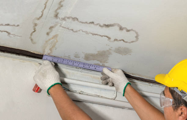 Reliable Water Damage contractor in Tate, GA by Water Damage Irwin